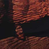 Red Dust And Spanish Lace Red Dust And Spanish Lace