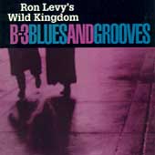 B-3 Blues & Grooves