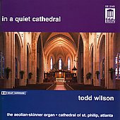 in a quiet cathedral / todd wilson