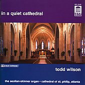 in a quiet cathedral / todd wilson in a quiet cathedral / todd wilson