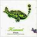 PMA (Positive Mental Attitude) [Maxi Single]
