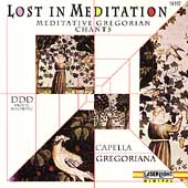 Lost in Meditation - Meditative Gregorian Chants Lost in Meditation - Meditative Gregorian Chants