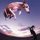 Flying Dog Flying Dog