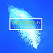 Bluebird - Voices from Heaven / New College Oxford Bluebird - Voices from Heaven / New College Oxford