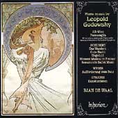 Godowsky: Piano Music / Rian de Waal