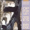 Opportunity Crosses the Bridge