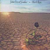 Black Rose Black Rose