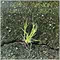 Like A Seed