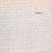 Zipper Catches Skin Zipper Catches Skin