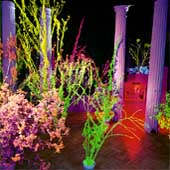 Warehouse: Songs And Stories Warehouse: Songs And Stories