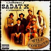 Wild Cowboys