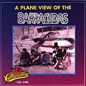 Plane View Of The Barracudas