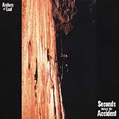 Seconds Before the Accident Seconds Before the Accident