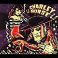 charley horseβ