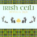 TOWER RECORDS ONLINE㤨Irish Ceili-Reels And Jigs[X3530462]פβǤʤ1,090ߤˤʤޤ