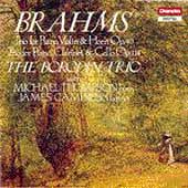 Brahms: Horn Trio, Clarinet Trio / Borodin Trio, et al