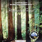 Redwood Forest Redwood Forest