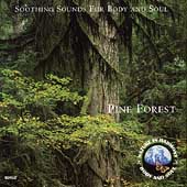 Pine Forest Pine Forest