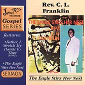 The Eagle Stirs Her Nest