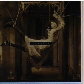 シグニファイ シグニファイ