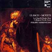 Bach: Motets / Herreweghe, La Chapelle Royale Paris Bach: Motets / Herreweghe, La Chapelle Royale Paris