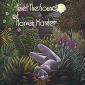 Feel The Sound Of Harvey Mandel Feel The Sound Of Harvey Mandel