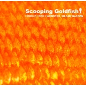 Scooping Goldfish!