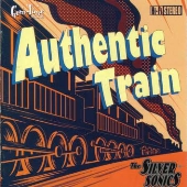 Authentic Train
