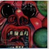 スチゾイド・ディメンション~ア・トリビュート・トゥ・キング・クリムゾン スチゾイド・ディメンション~ア・トリビュート・トゥ・キング・クリムゾン