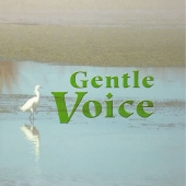 Gentle Voice
