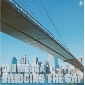 ブリッジング・ザ・ギャップ