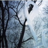 ためいきの花 ためいきの花