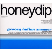groovy indian summer