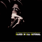 ブルース決定版 ブルース・ハーモニカ入門 ブルース決定版 ブルース・ハーモニカ入門