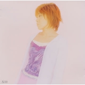 ガーベラ|水の中の月 ガーベラ|水の中の月