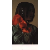 私のように 私のように