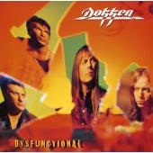 ディスファンクショナル ディスファンクショナル