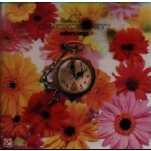 「Alice ON WONDER-NET1」 「Alice ON WONDER-NET1」