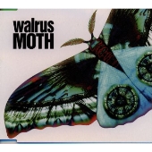 MOTH