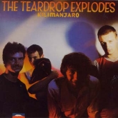 キリマンジャロ +6 キリマンジャロ +6