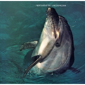 ヘイ・ルック・アット・ユー ヘイ・ルック・アット・ユー