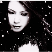 雪が降るまえに 雪が降るまえに