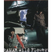 Wild Flowers/Social Climber