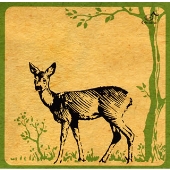 アローツアー アローツアー