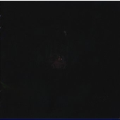 Lost Summer Daze Lost Summer Daze