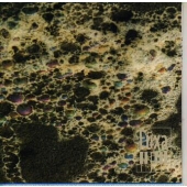 ヴェリー・ウェル・オーガナイズド