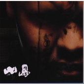 パンキッシュ・ロック・フューチャー