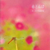 赤とんぼ 美しい日本童謡旋律集