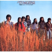 華麗なるニューポップスの世界 華麗なるニューポップスの世界