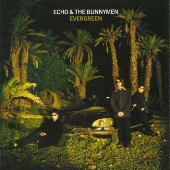 エヴァーグリーン